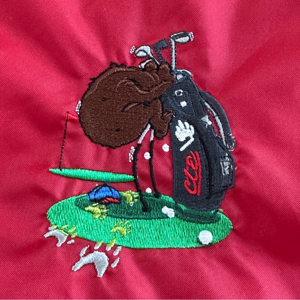 Nike Air Red Drawstring Backpack - image 3